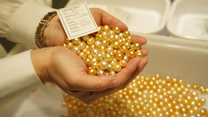 深珠寶展銷會嘉年華隆重開幕，國際珍珠看貨會現場火爆